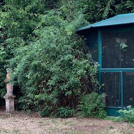 Maisonnette En Clairiere De Foret Gambais Екстериор снимка
