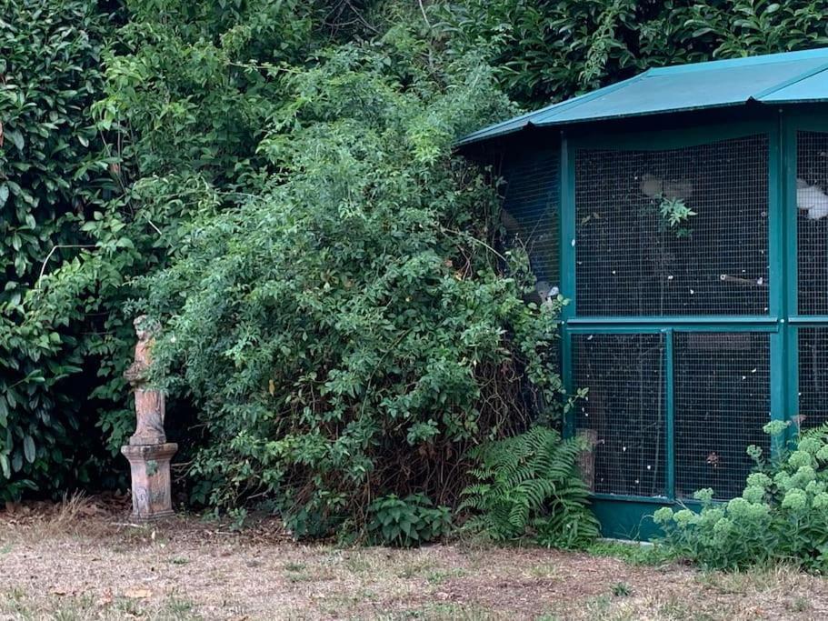 Maisonnette En Clairiere De Foret Gambais Екстериор снимка