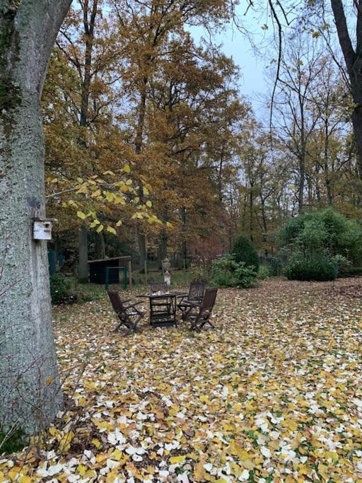 Maisonnette En Clairiere De Foret Gambais Екстериор снимка