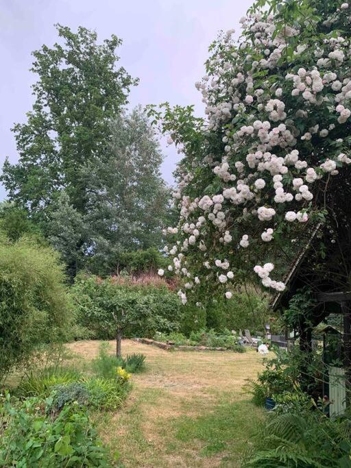 Maisonnette En Clairiere De Foret Gambais Екстериор снимка