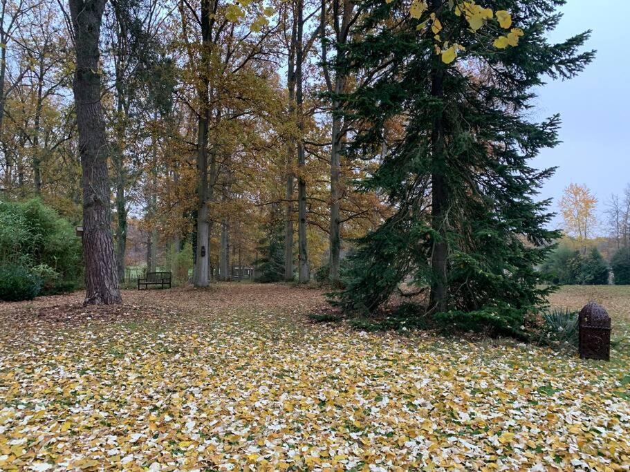 Maisonnette En Clairiere De Foret Gambais Екстериор снимка