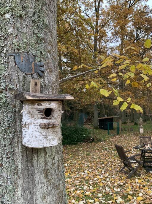 Maisonnette En Clairiere De Foret Gambais Екстериор снимка
