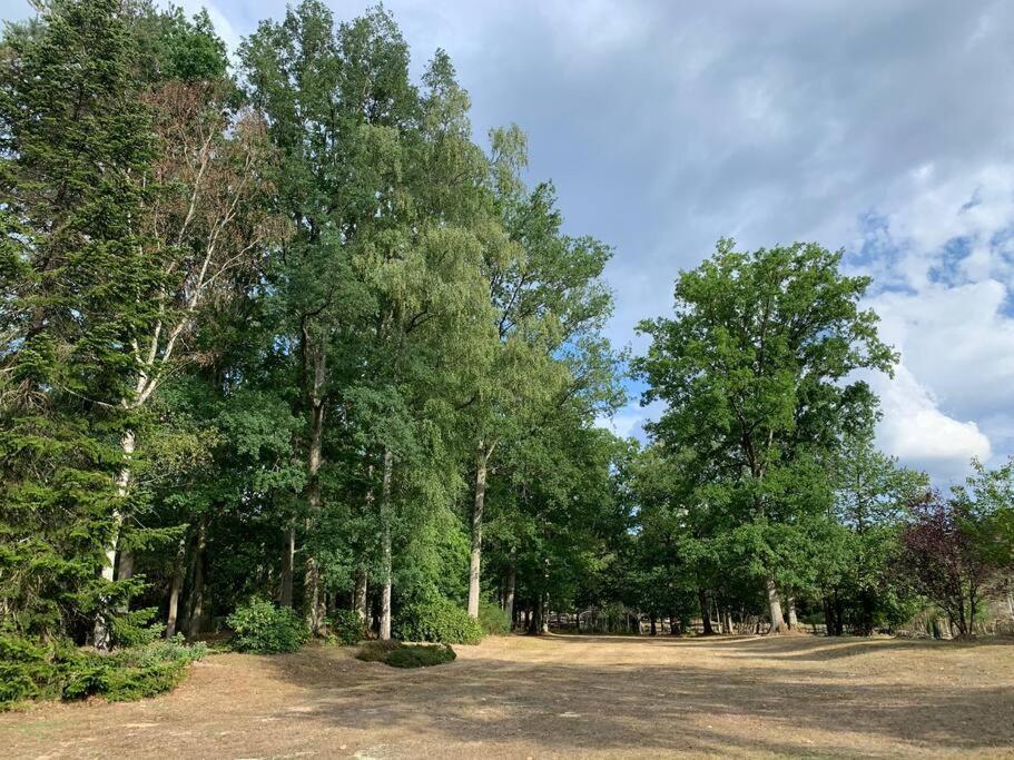 Maisonnette En Clairiere De Foret Gambais Екстериор снимка